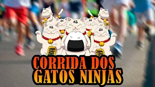 Maior olimpíada de todos os tempo corrida dos gatos! #NarutoOnline