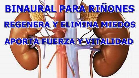 BINAURAL PARA REGENERAR LOS RINONES Y ELIMINAR TEMORES Y MIEDOS, APORTANDO FUERZA Y VITALIDAD