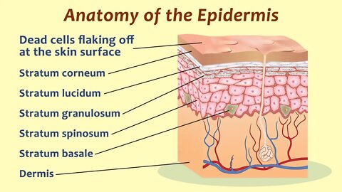 FREEING YOUR SKIN - Thin? Or thick? EXPOSE YOURSELF vulnerability is natural