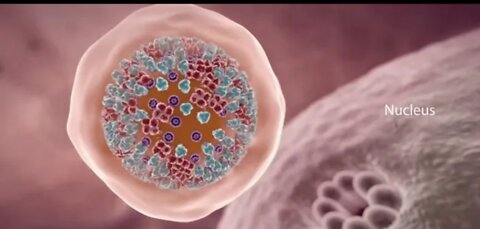 COVID-19 Animation! What Happens If You Get Coronavirus