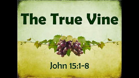 October 13 (Year 3) - Names of God – Word of God, True Vine - Tiffany Root & Kirk VandeGuchte