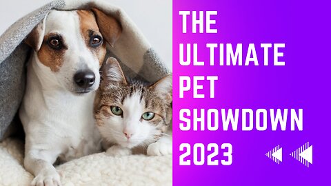 The Ultimate Pet Showdown, Cat and Dogs