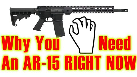 Why you need to buy an AR15 RIGHT NOW