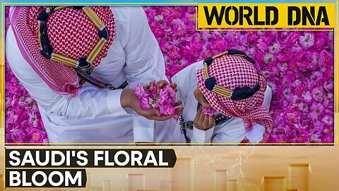 Saudi Arabia's rose industry blooms | World DNA | Latest News | WION