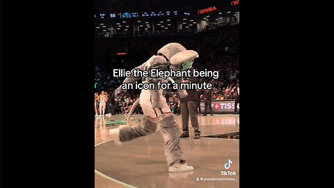 Ellie the Elephant being an icon for a minute