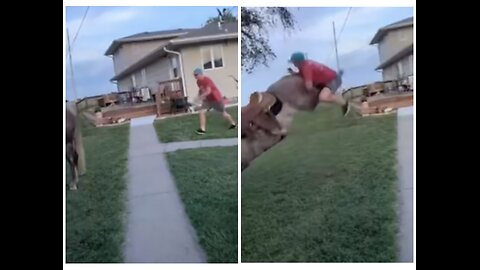 He got kicked by him 😱😱 #rumble #youtube #viral