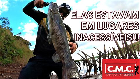 GALHADAS POR TODA A LAGOA... ALTO NÍVEL DE DIFICULDADE DE PESCA... MAS O RESULTADO APARECEU!!!