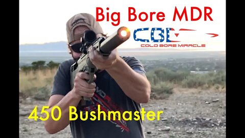 Desert Tech MDR 450 Bushmaster conversion kit