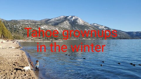 Ares and other Tahoe baby "growups" play at lake during winter