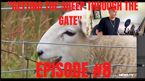 "Getting the sheep through the gate" | The 7pm Daily Dose w/ Benny McKay #8