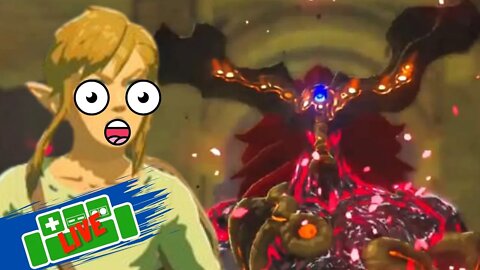 Straight to Ganon Run! (WE CAN DO IT!)