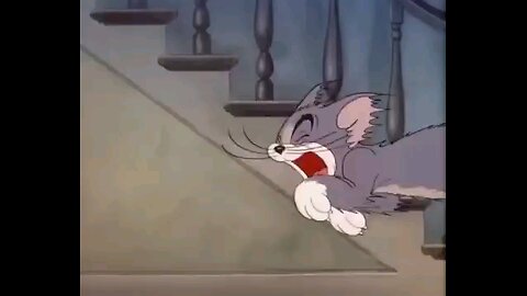 tom__and__jerry_full_screen🦉🤣🤣