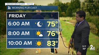 WMAR-2 News Cesar Cornejo Thursday weather