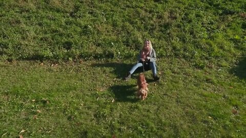 Young girl with cocker spaniel outdoors