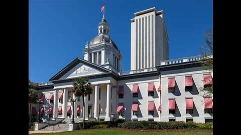 FLORIDA "LOBBY DAYS" @ THE CAPITOL: WHAT I LEARNED ABOUT DEMOCRACY IN ACTION