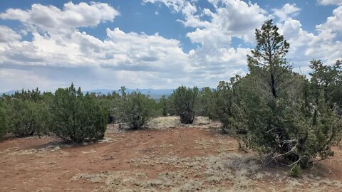 Arizona Homestead Tour