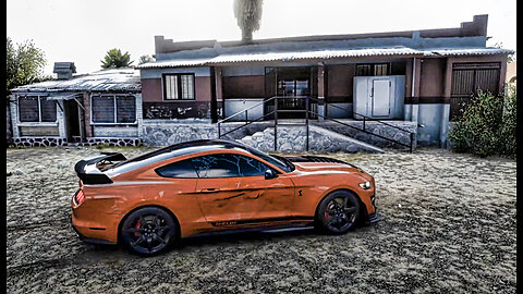 2020 Ford Mustang Shelby GT500. A fast and fun rear wheel drive car. No one injured all that much.