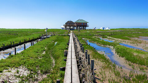 Hallig island Norderoog