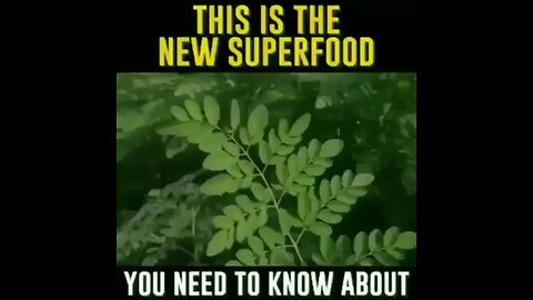 Yea Moringa is everything now🌱🌳🌿