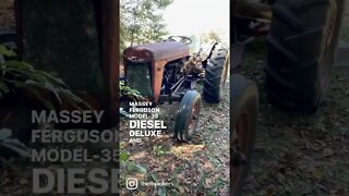 1954 Massey Ferguson Model 35 find in South Georgia #shorts