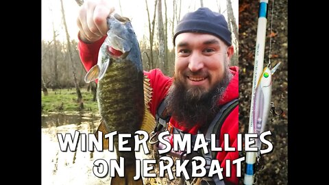 WINTER SMALLMOUTH IN OHIO