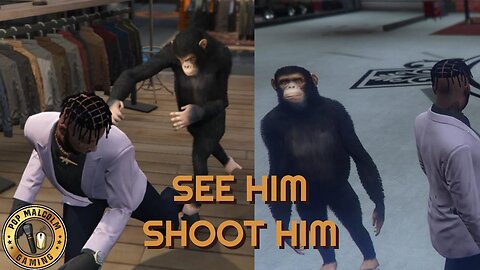 A (Crip) monkey punched my lights out | GTAV RP