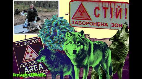 Wolves roaming Chernobyl Exclusion Zone have Mutated And developed cancer-resilient abilities