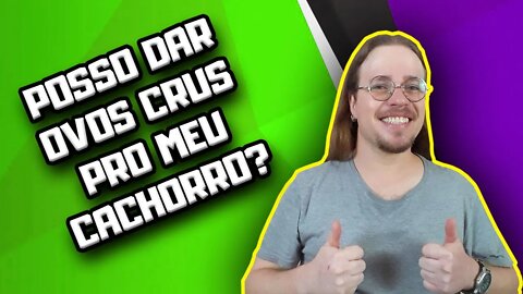 Pode Dar Ovo Cru para Cachorro? Aprenda Sobre Alimentação Natural dos Cães [com médico veterinário]