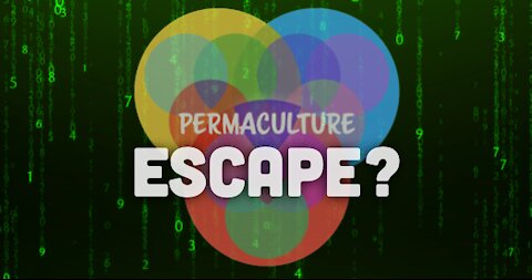 Escape the Matrix with PERMACULTURE