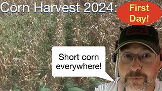 First Day, Short corn Everywhere. The Drought is really showing up