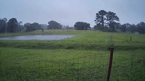 Tropical Storm Alex, #Venus Ranch. Venus, Florida #live..