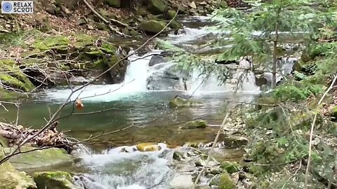 Mountain River Water Sounds | Flowing Water | Sleep, Study, Focus | White Noise Stream