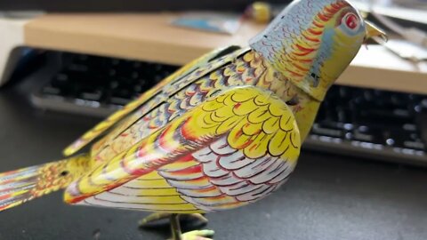 Chirping Bird Tin Toy