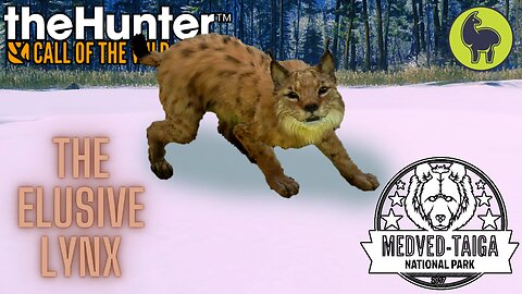 The Elusive Lynx, Medved Taiga | theHunter: Call of the Wild (PS5 4K)