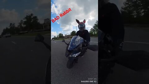 BAD Rabbit SPEEDEMONZX636 "A COP PULLED ME OVER..Wait for END😜🤣" S2 E5 #motorcycle #bikelife #jokes