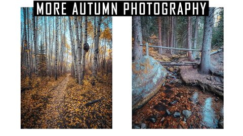 More Autumn Photography! | Lumix G9 Landscape Photography