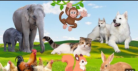 Learn about adorable Animals : Cat,dog,duck,otter,cow,squirrel,otter- Animal sounds