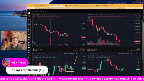 Hex Price Chart LIVE! Dollar Costs Average Strategy! Community Hangout!