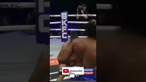 Sauceda Dropped Stewards @ BKFC