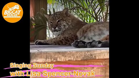 It’s Singing Sunday with Lisa Spencer-Novak and Carole Baskin at BigCatRescue.org 04 23 2023