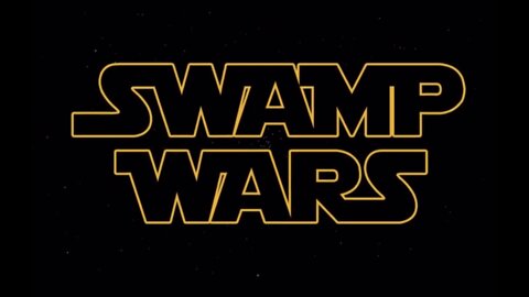 💥💥💥SWAMPWARS💥💥💥