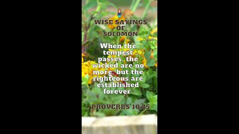 Proverbs 10:25 | Wise Sayings of Solomon