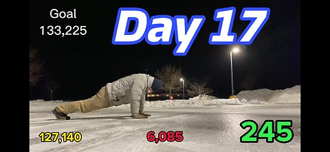 January 17th. 133,225 push ups