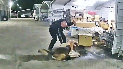 Daytona Beach Officer Uses Tennis Racket Against Burglary Suspect Trying To Choke a Police Dog