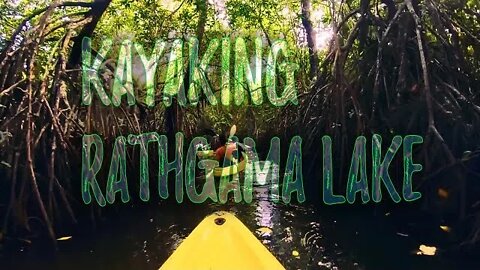 Kayaking the Rathgama Lake | Sri Lanka | Shot on Gopro Hero 7