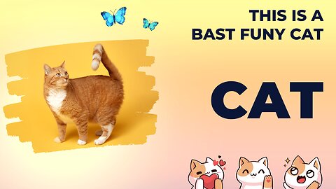 Funny Cat 🤣🤣🤣 🐈🐈 bast movie