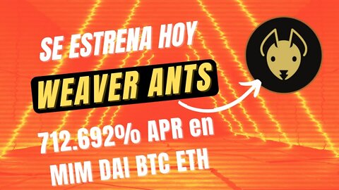 WEAVER ANTS español 🤑🤑 700.000% APR con ESTABLES BTC ETH SALE HOY