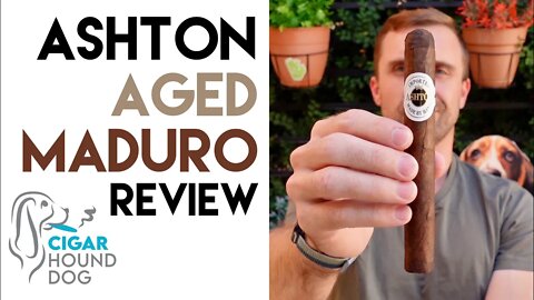 Ashton Aged Maduro Cigar Review