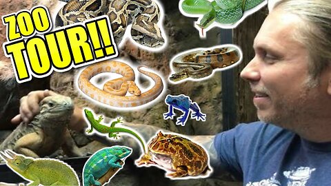 CAGE BY CAGE EXOTIC REPTILE STORE TOUR!! (Insane)