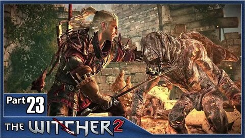 The Witcher 2, Part 23 / The Gargoyle Contract, Rune Puzzle, Lilies and Vipers